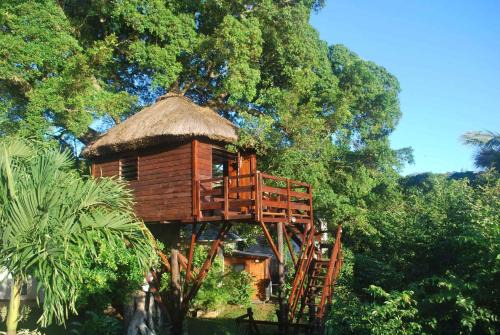 Centre de Flacq Cabin | Tree Lodge Mauritius