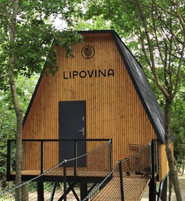 Bara Apartment | TREE-TOP VILLAGE, Tokajské domčeky v korunách stromov