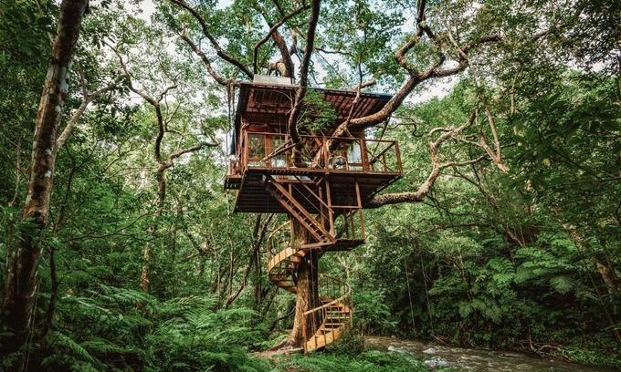 Genka Hotel | Treeful Treehouse Sustainable Resort