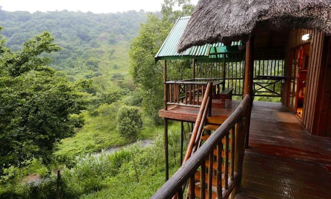 Shongweni Bed & Breakfast | Treehouse River Lodge