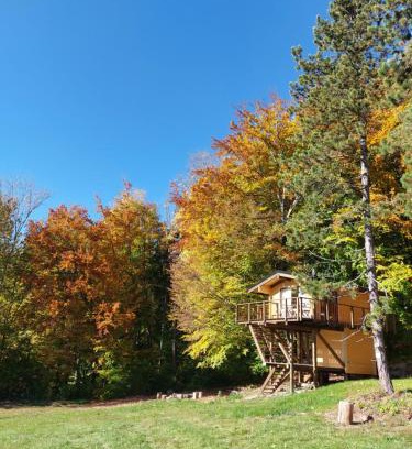 Horna Micina Other | Treetop Tiny House Pod Korunami
