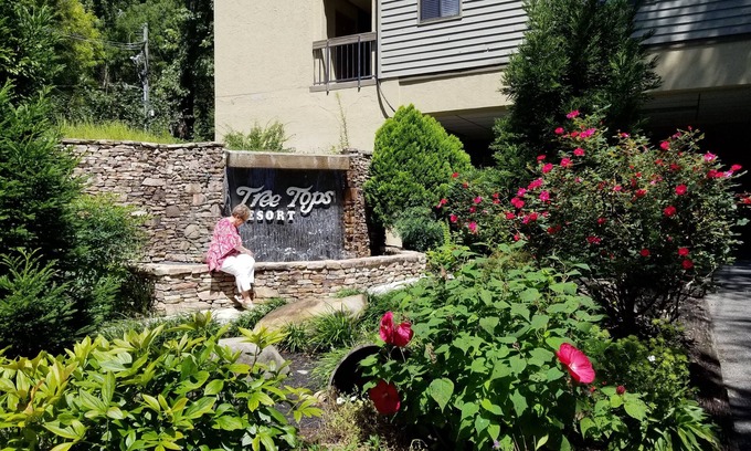 Gatlinburg Resort | Treetops Resort on Roaring Fork Stream Gatlinburg 2Bd2Ba Condo SATURDAY Check In