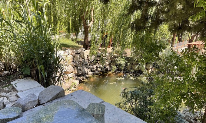 Ulupinar Cabin | Trinitys Forest Bungalows