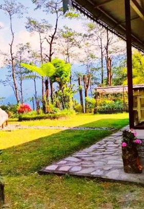 Pelling Hotel | Tripoo Rhisum the premium Haapo retreat