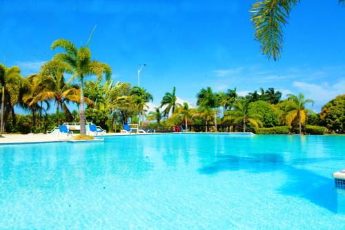 St. Ann's Bay Apartment | Tropical Escape in Richmond with Pool & Gym Perfect Paradise Getaway Sleeps 7 Perfect for Families
