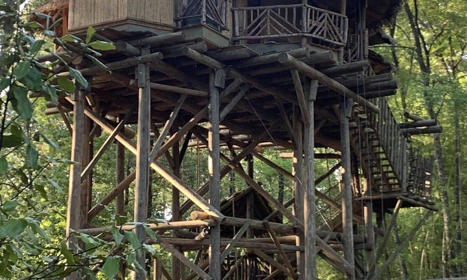 Arkadelphia Cabin | Tropical Treehouse surrounded by Jungle Gardens