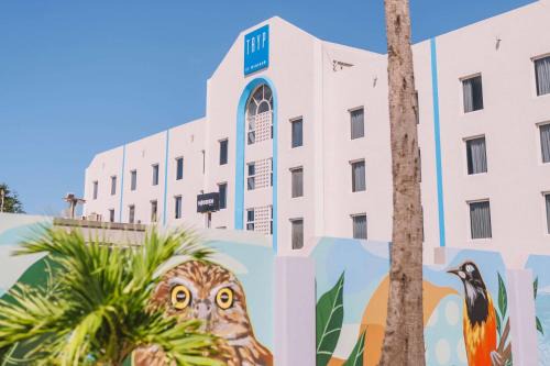 Palm Beach Hotel | TRYP by Wyndham Aruba