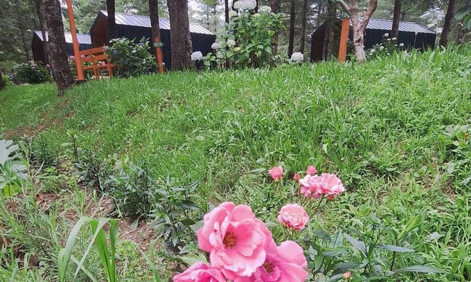 Kartepe Cabin | Tumba Sisli Vadi