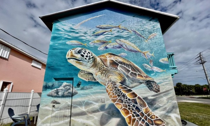 Port Canaveral House | Turquoise Turtle - 543 Washington · Townhouse-Cheerful 2 Bedroom Close to the Beach