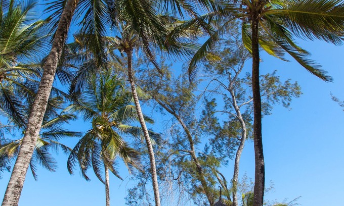 Watamu Resort | Turtle Bay Beach Club