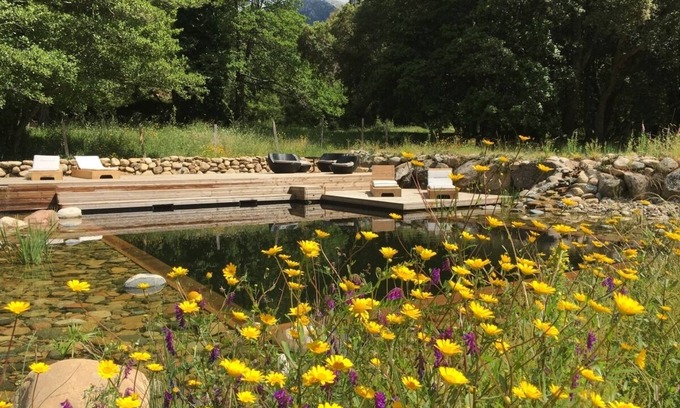 Petreto-Bicchisano House | U Pratu, bungalows surrounded by nature, natural swimming pool and organic garden