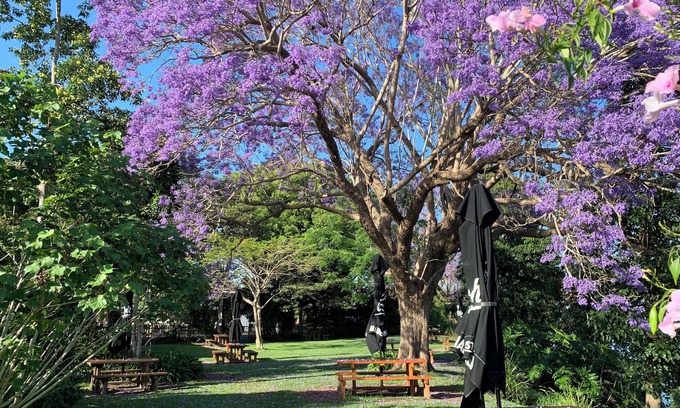 Ulmarra Hotel | Ulmarra Hotel
