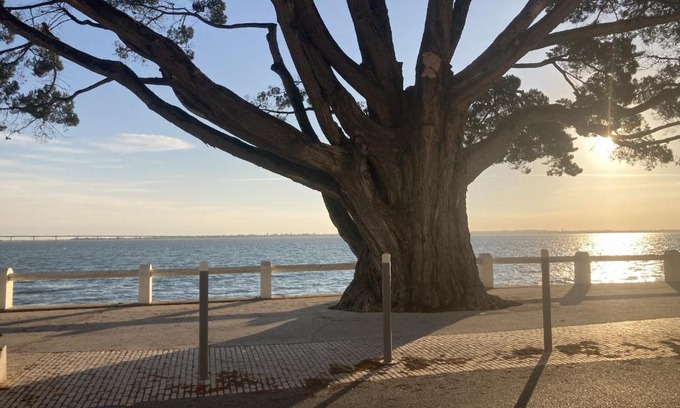 Saint-Trojan-les-Bains Apartment | Un cocon face à la plage