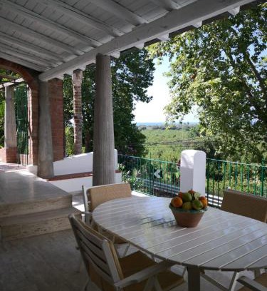 Naso Apartment | Un'oasi tra i limoni