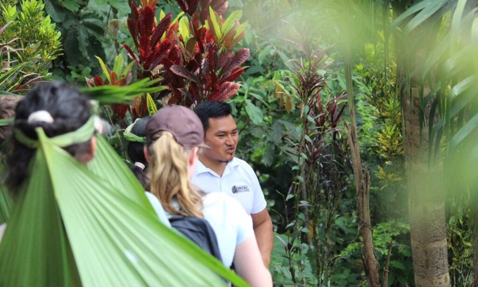 Archidona Cabin | Unique ecolodge in the Amazon Rainforest - Connect with nature near Tena