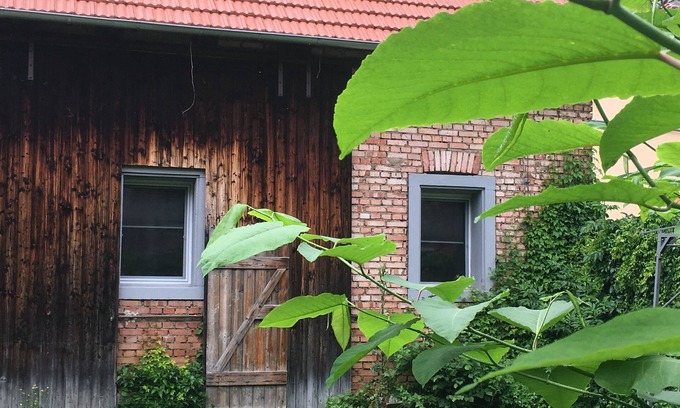 Tauberbischofsheim Apartment | Vacation apartment/apartment for 5 guests with 90m² in Tauberbischofsheim (145024)