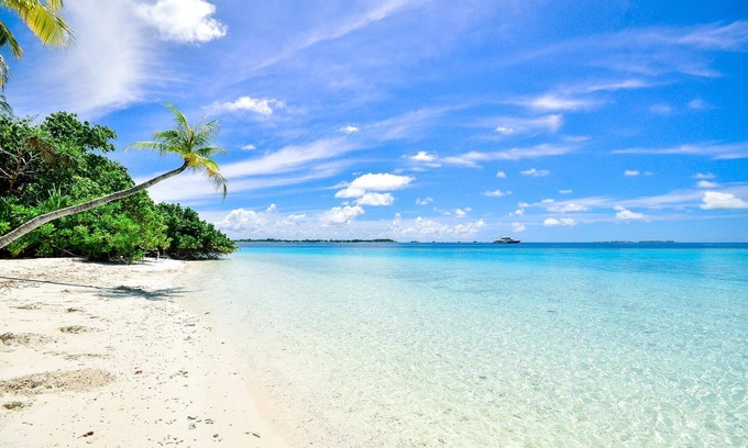 Sarasota Condo | Vacation delight! Cozy condo just steps from the beach and St. Armands circle.
