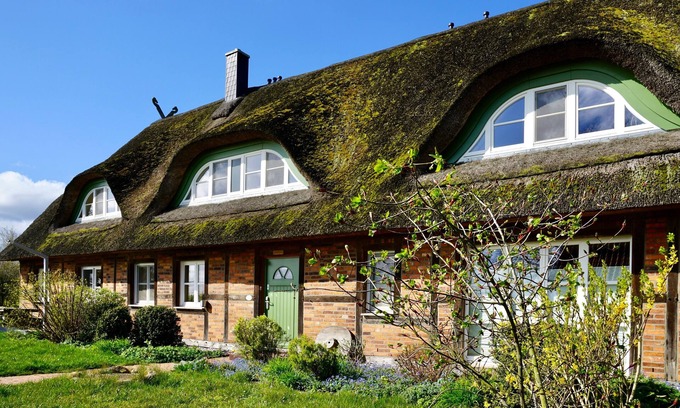 Insel Poel House | Vacation home for 14 guests with 360m² in Insel Poel (147756)