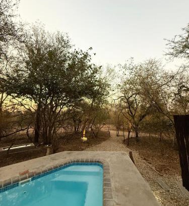 Marloth Park House | Veni Vidi Amavi Luxury Safari Treehouse