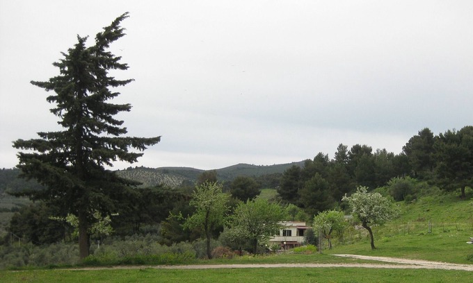 Mandrione Apartment | Vieste Apartment on a farm in direct contact with nature