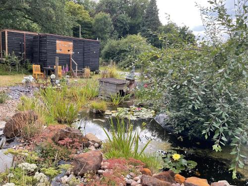 Fairseat Bed & Breakfast | Vigo Retreat cabin 2