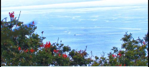 Guia de Isora House | Villa con inmejorables vistas al oceano y la Gomera