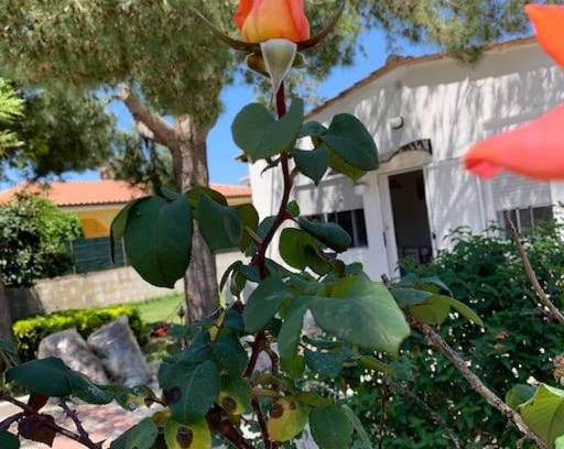 Punta Milocca House | Villa Fiori giardino, 400 m. mare con parcheggio