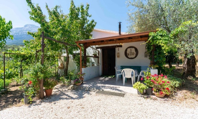 Oliena Villa | Villa L'Oliveto in the countryside