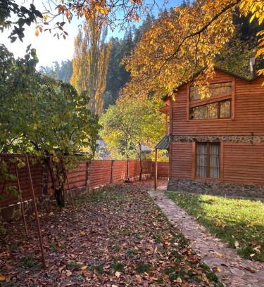 Likani House | Villa Maxi Likani