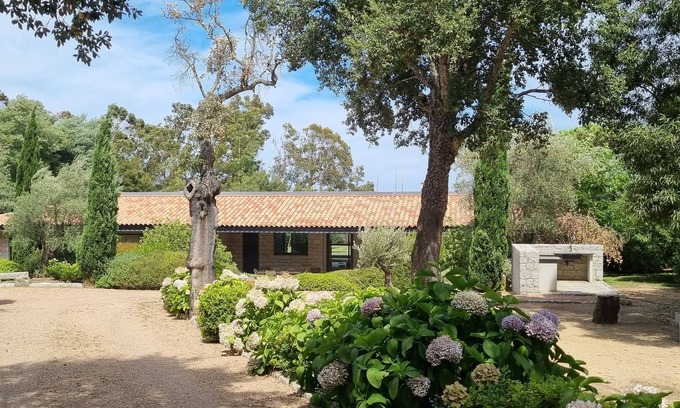 Porto-Vecchio Villa | Villa Pieds Dans L'eau Porto Vecchio