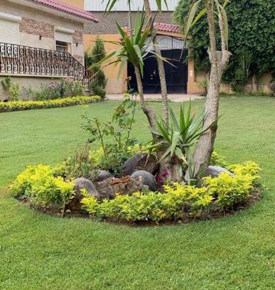 Sheikh Zayed City Villa | Villa Rabwa Zayed