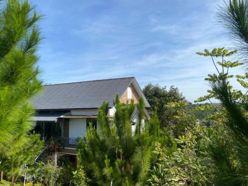 Di Linh Villa | Villa sang trọng - Mộc Hương farmstay