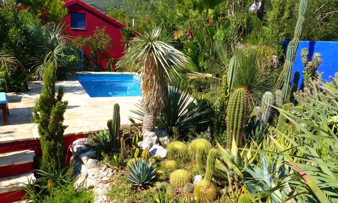 Kastel Kambelovac Villa | Villa Tropica - villa with pool and private garden