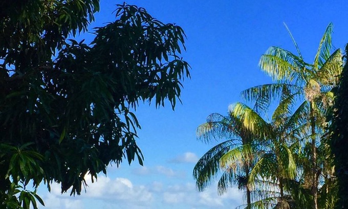 Pescaria House | VILLAS DO PRATAGY EXCELLENT BANGALÓ IN MACEIÓ IN THE RESORT ATE 6 PEOPLE