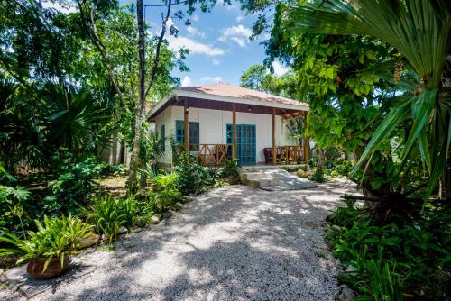 Colonia Andres Apartment | Villas El Encanto Cozumel