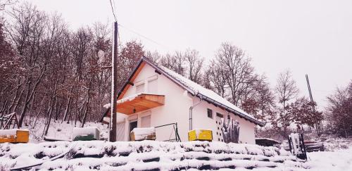 Mitrovicë House | Villat Bardhoshi