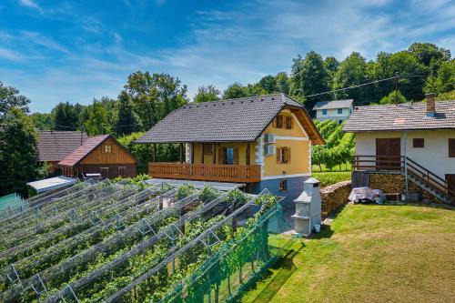 Crnomelj House | Vineyard Cottage Stepan - Happy Rentals