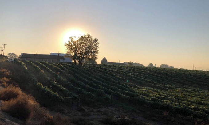 Outlook House | Vineyard views at Dichotomy Vineyards guest house in the Yakima Valley