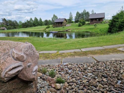 Anyksciai Villa | VIP forest dreams villa 2