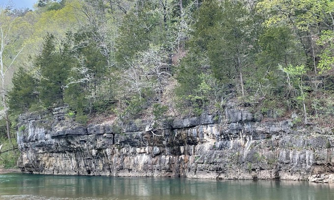 Teresita House | Visit Missouri! Pet-Friendly Cabins, Near Jacks Fork River and Rustiques Antique