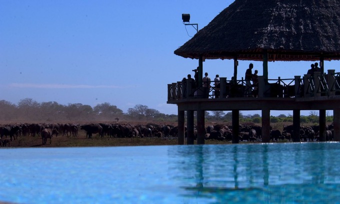 Voi Cabin | Voi Wildlife Lodge