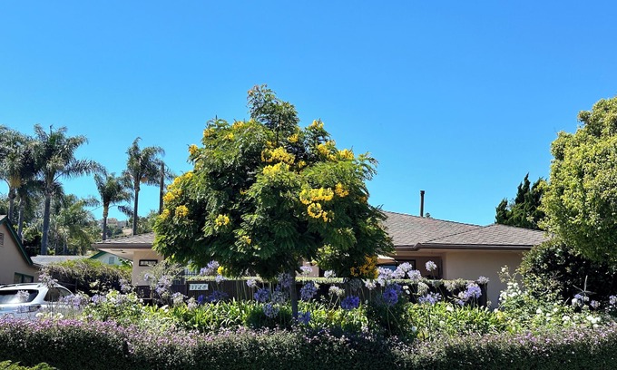 East Mesa House | Walk to Beach, Harbor and Shops! Private Pool/Patio
