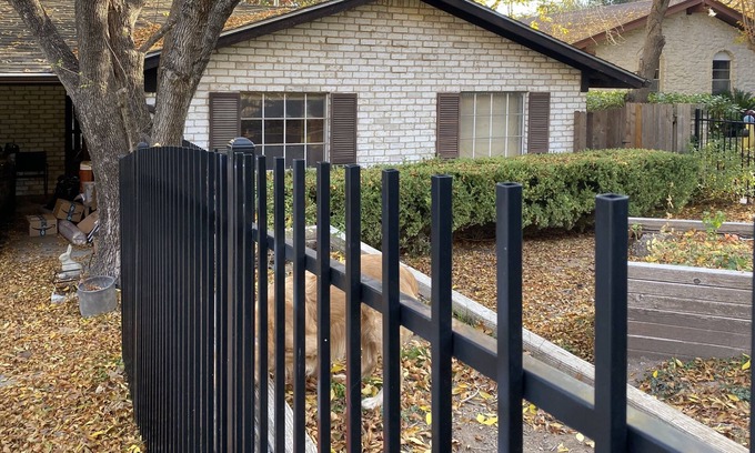 Zilker Apartment | Walk to Zilker Park, Barton Springs, restaurants. Active ride share area.