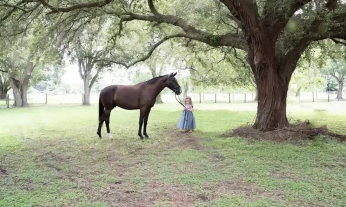 Buckingham Other | ⭐️Wedding&Event⭐️Content House⭐️ Family&Couple Retreat⭐️Horse Lover’s Dream⭐️