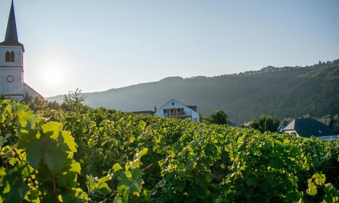 Minheim Apartment | Weingut Johanneshof