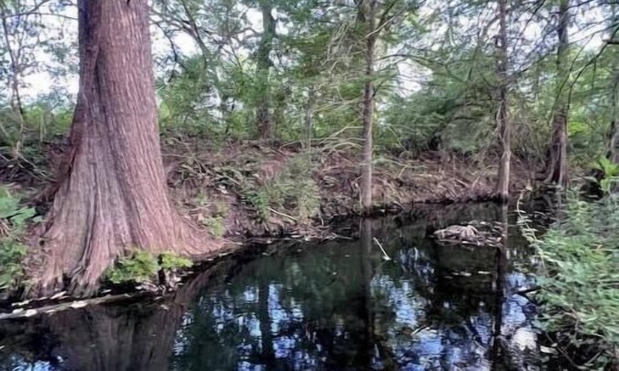 Spicewood Other | Welcome to Double Creek Farm, your tranquil retreat just outside of Austin.