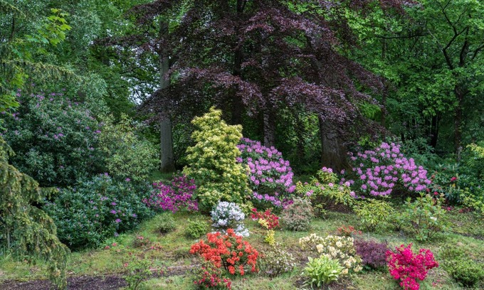 Stirling Bed & Breakfast | West Plean House