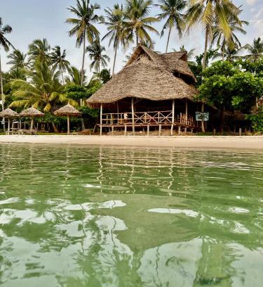 Mafia Island Bed & Breakfast | Whale Beach Bungalows and Tents
