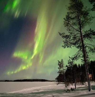 Rovaniemi House | Wilderness Cabin Onnela with sauna