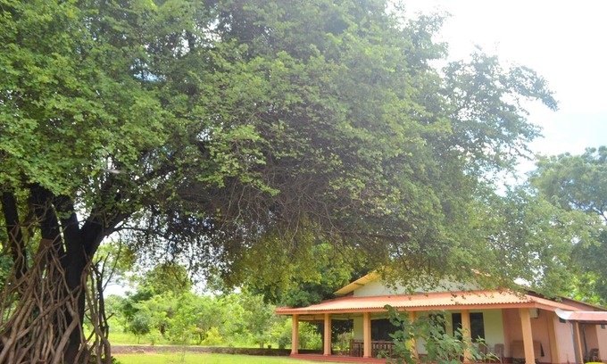 Pahala Maragahawewa Hotel | Wilpattu Dilsara Holiday Resort